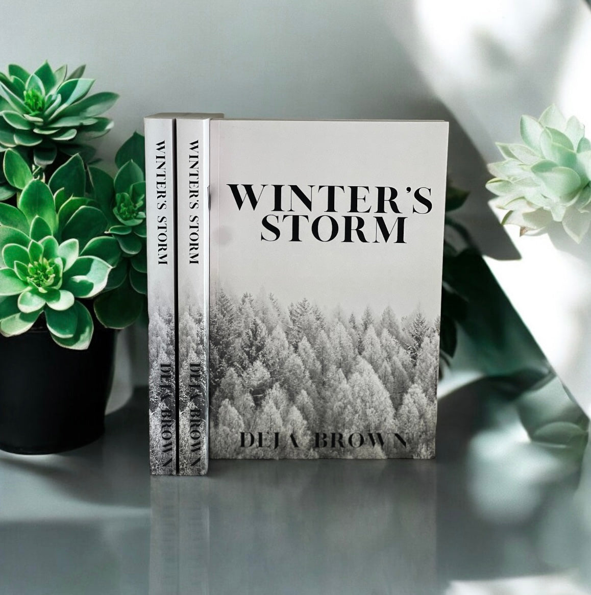 Winter's Storm